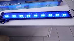 Unboxing Nicrew Led Aquarium Test Youtube