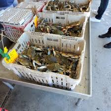 Find 341,520 tripadvisor traveller reviews of the best shrimp and search by price, location, and more. Amy S Seafood 10 Reviews Seafood Markets 100 Westbank Expy Westwego La Phone Number