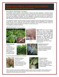We did not find results for: Japanese Knotweed