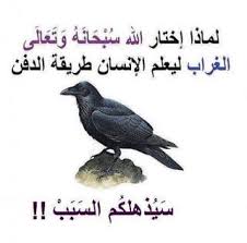 بلا عنوان Blog Posts Blog