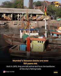 Here are 5 mind-blowing facts even ...