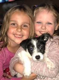 Rehoming loveable dog in Trotwood Ohio