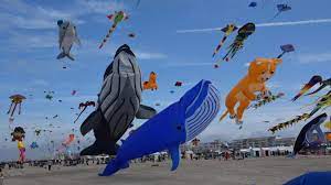 Festival cerf volant berck 2020. Les Cerfs Volants Reviendront A Berck En 2019
