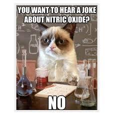 16 Of The Best Grumpy Cat Memes Catster