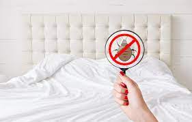 What are some of the most effective ways to. How To Approach Pest Control For Landlords And Tenants Rentredi
