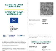 The ink was scanned and. Certificat De Vaccination Europeen Tout Comprendre Au Qr Code Sur Votre Document