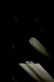 Abhandlungen der Königlich Bayerischen Akademie der Wissenschaften