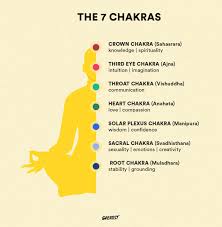 Image result for chakras