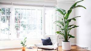 Check spelling or type a new query. Plant Inspired Zoom Backgrounds Plant Care Tips And More La Residence