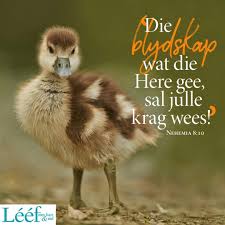 Pin By Leonie Geldenhuys On Christelike Inspirasie Bible For Kids Living Water Gees