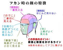 アオリ フカンを克服する 頭部 顔の描き方 漫画素材工房 manga materials 명언 머리