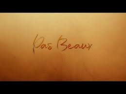 Vitaa Slimane Pas Beaux Clip Officiel Youtube Chanson Du Moment Clip Musique