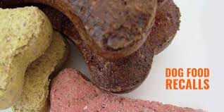 Dog food recall over salmonella. Dog Food Recalls Definition Lists Risks Faq Recall Free Brands