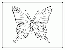 There are tons of great resources for free printable color pages online. Butterfly Coloring Pages 45 260013 High Definition Wallpapers Coloring Library