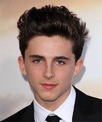 Timothee Chalamet Short Straight Hairstyle Straight Hairstyles Dark Brunette Brunette Hair