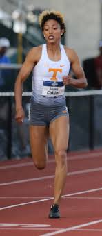 Shania Collins Wikipedia