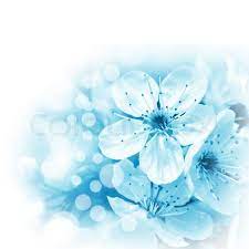 Download, share or upload your own one! 42 Light Blue Flower Wallpaper On Wallpapersafari