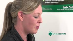 Teaching your Puppy to Drop and Lay Down