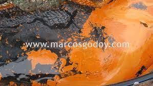 Dilatacion Gastrica Vomito En Trucha Arcoiris Oncorhynchus Mykiss Patologia Macroscopica Ii