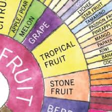 Download Counter Culture Coffee Tasters Flavor Wheel