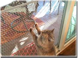 Farm door, farm doors, door grille, screen doors, best screen door guards for dogs, screen door frames. Swinging Screen Door Upgrade Options Sacramentoca Atoz