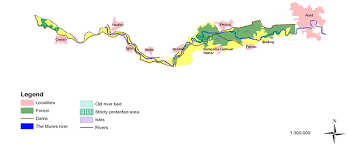 Este o zonă inundabilă (o inundaţie la fiecare trei ani) situată între digurile construite pe fiecare parte a râului şi între terasele înalte ale. 7 Lunca Muresului Pressalert Ro