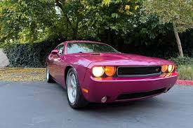 Image result for Furious Fuchsia 2010 Challenger