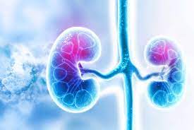 The communication presents current diagnostic methods in chronic renal failure (crf), outlines principles of its treatment. What Are The Biomarkers For Detecting Early Signs Of Kidney Damage Enzo Life Sciences