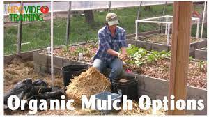 Figuring out how much mulch to buy, and how deep to lay it in your pots and beds, can be confusing. 5 Organic Garden Mulch Options Youtube