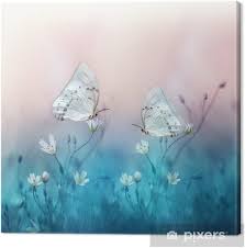 Maybe you would like to learn more about one of these? Butterfly Blank Template Imgflip