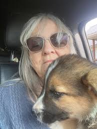 Update : 3 girl puppies left black and white Looking for rehoming. 2 males  3 females. 9 weeks old. No shots. Yes for an Amish friend. Known them for 5  years and