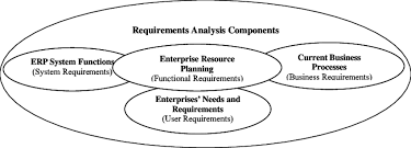 Conceptual Components Of Erp Requirements Analysis Download Scientific Diagram