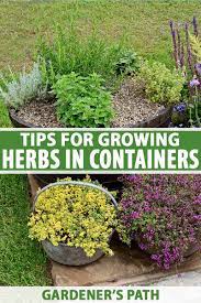 Plant maintenance is also more convenient with containers, and there are fewer problems with weeds and critters. How To Grow Herbs In Containers Gardener S Path