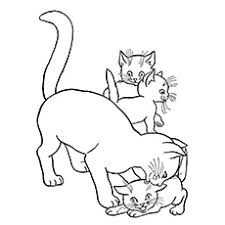 The domesticated ones have even found a home in neighborhoods while others continue to thrive in the wild. Top 30 Free Printable Cat Coloring Pages For Kids