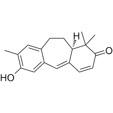 Image result for Ricinodendron