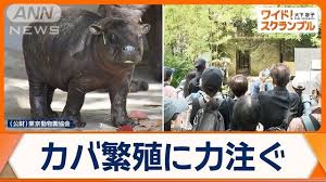 News source: Yahoo!ニュース