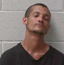 Man Arrested for Indecent Exposure and Weapon Possession