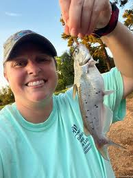 Should I post weekly updates