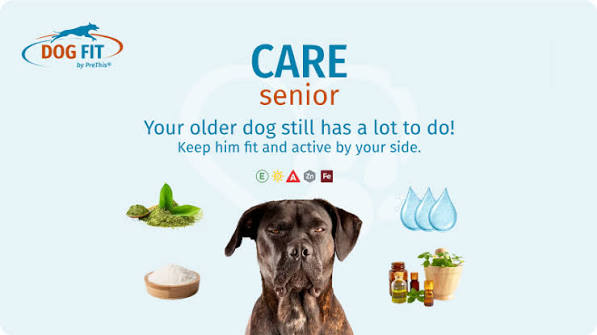 Restorative treatment for older dogs: Vitamins + Joints » CARE senior » DOG  FIT PreThis®