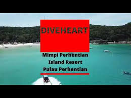 Best service award 4 star resort terengganu 2019 best island resort 2019 gold award island resort 2018 mimpiperhentian.com. Diveheart Malaysia 2020 At Mimpi Perhentian Resort Terengganu Youtube