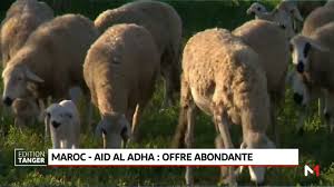 Aid el fitr et aid el kebir 2021 leurs vies, nos grands de l'exécutif des internautes jusqu'à 10 000. Aid Al Adha Une Offre Abondante Pour Le Maroc Youtube