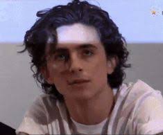 130 Timothee chalamet ideas