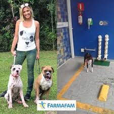 850,388 likes · 713 talking about this · 553 were here. Farmafam Assina Parceria Com O Instituto Luisa Mell