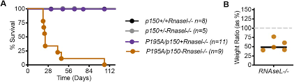 Avec notre annuaire en ligne 118 218 trouvez ce que vous cherchez ! Pkr And The Integrated Stress Response Drive Immunopathology Caused By Adar1 Mutation Biorxiv