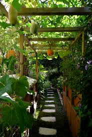 L Incroyable Jardungle Comestible D Adrien Oui Le Magazine De La Ruche Qui Dit Oui Cours D Eau Jardin Jardins Jardin Comestible