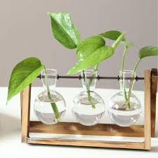Cat glasses holder eyeglasses holder glasses stand eyeglass holder eyeglass stand desk organizer accessories gift for christmas sunglass. Plant Terrarium With Wooden Stand Glass Vase Holder For Home Decoration Scindapsus Container Buy At A Low Prices On Joom E Commerce Platform