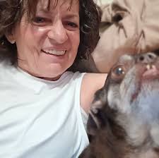 What tree companies can provide removal and debris removal services in Vine  Grove?