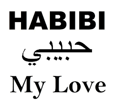 Malak is a sweet girl's name in arabic. What Does Habibi Mean In Arabic Quora