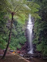 Tiket masuk air terjun dlundung 2021 / air terjun dlundung tiket aktivitas agustus 2021 travelspromo / ketika kami publish artikel ini,. Air Terjun Dlundung Tempat Wisata Keluarga Di Lereng Gunung Welirang