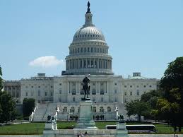 They've got an autocannon covering the entire western approach. Us Capitol Building Designing Buildings Wiki